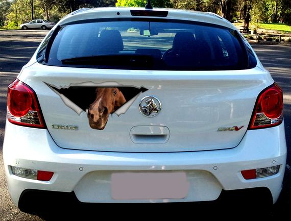 Horse car decal! For when your best friend should be with you... but they aren't.